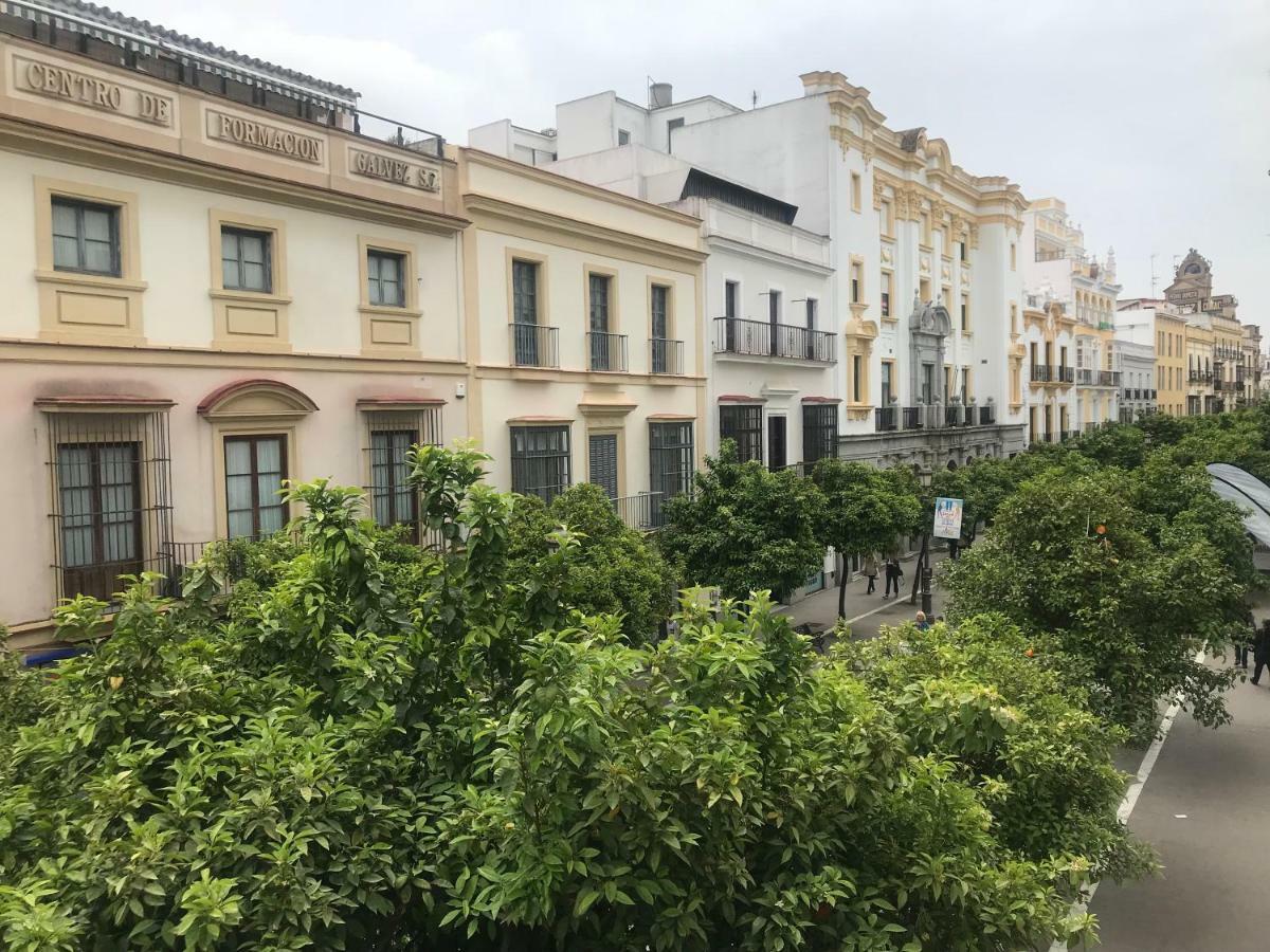 Apartamento Centro Jerez Daire Jerez de la Frontera Dış mekan fotoğraf